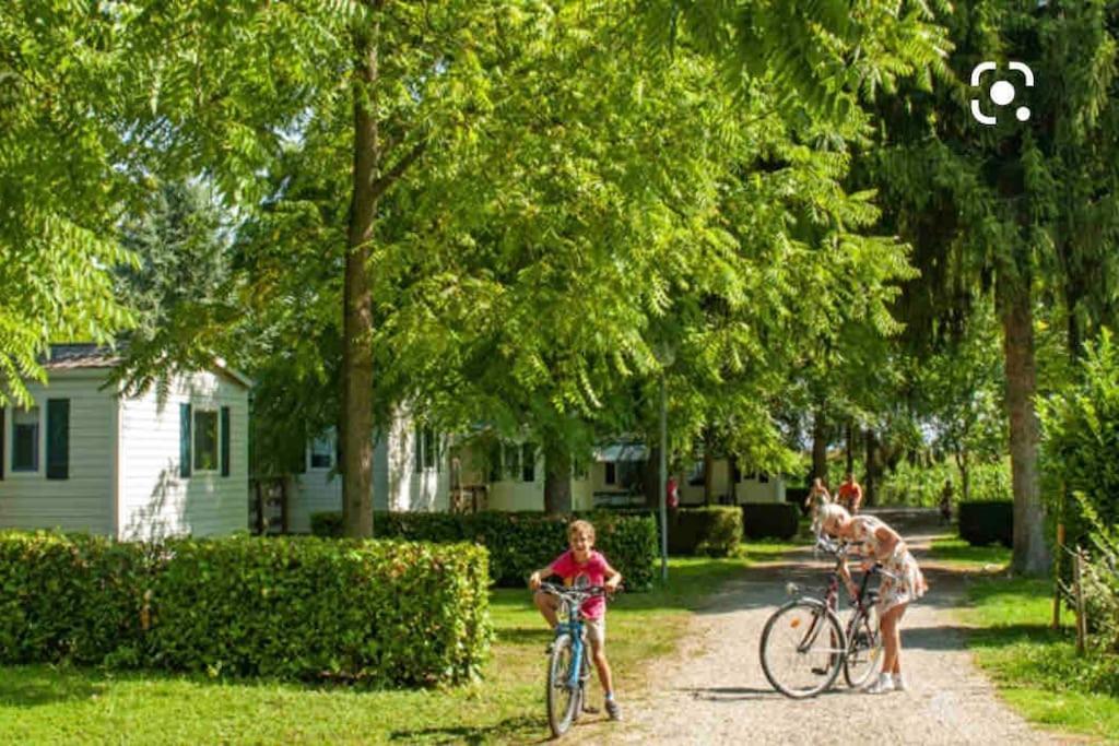 Апартаменты Location Mh Situee A 15 Mn D Europa Park Et Rulantika Boofzheim Экстерьер фото