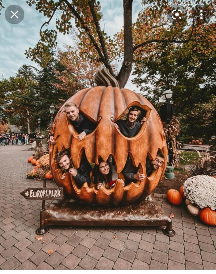 Апартаменты Location Mh Situee A 15 Mn D Europa Park Et Rulantika Boofzheim Экстерьер фото